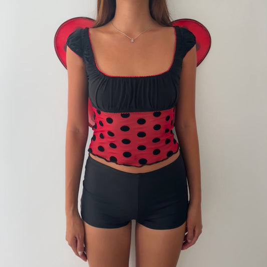 Ladybug